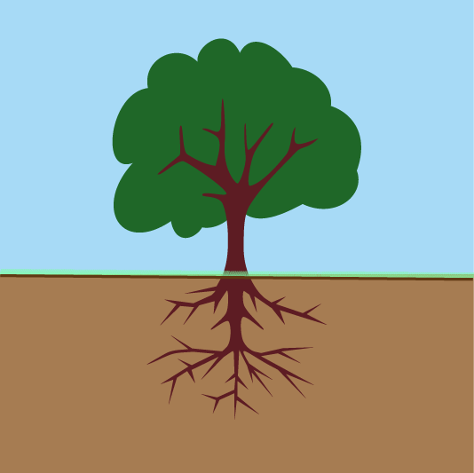 Logo of tree growing up from the ground.